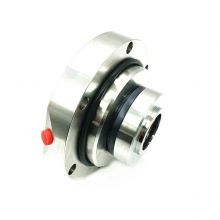 自川密 BW-LC100/320T BW-LC100/350T . 机械密封 1个/个